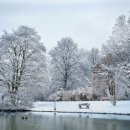 하늘동물병원 이미지