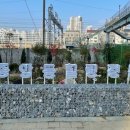 힐링정원 이미지