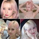 비비즈