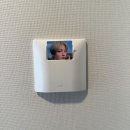 여시발바닥 | 뭐 내가 외퀴 해방이라고? / 2025 3주년 앤데이 縁 DAY 후기