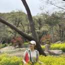 옹달샘약수터 이미지