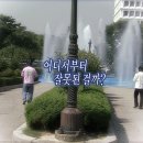 해운대 청소년수련관 | 나 택시 그만타고싶어~8월일상
