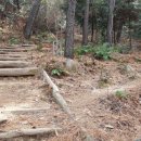 선강(하) 이미지