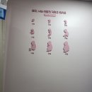 뚜레쥬르 부산 개금백병원 | 전치태반으로 인한 부산 개금 인제백병원 제왕절개출산후기 :)