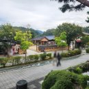 구난이 약나무 마을 | 전주한옥마을 가볼만한곳 볼거리 주차장 후기