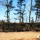 멍인더숲 목욕탕 이미지