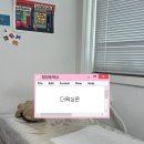 왁싱온 - 수원시 장안구 서부로2167번길 40 | 마포왁싱 최저가 1인샵 예약제 더왁싱온 웨딩촬영 전 눈썹 왁싱 하고 온 후기