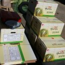 보리수농장 이미지