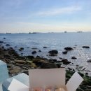 인마망마카롱 | 광안리 마카롱 인마망마카롱 선물하기 좋은 부산뚱카롱