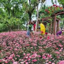 중리체육공원 이미지