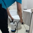 서울/제주 해충방역업체 제로벅스 찐 이용후기!