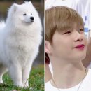 쿵떡쿵떡 이미지