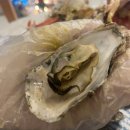 대양수산 | 수원 권선동[대양유통,희망수산] 대게 7만원대 실화? 대게+꼬막+회 먹방 ✨