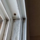 신서크리닝 이미지