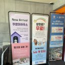 제주누리 | 제주 애월 아기랑 가볼만한곳 [누리프렌즈카페인제주] 방문후기/10개월 아기랑 제주여행 2탄
