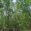 마두 약수터 이미지