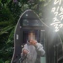 <킥복싱 다시 시작> 거북목 치료 후 느낀 현실 체력 수준