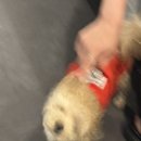 스테이 더 나잇 이미지