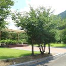 신전권역 야영장 이미지