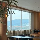 산업로1-9 | 울산 대형카페 추천 400평 규모 신상 카페 콜프로스터스 삼산직영점 리뉴얼 오픈