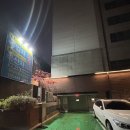 윈골프아카데미 | [일상] 가락동 골프레슨 [시티존스크린골프아카데미] 입문자 강추 찐후기