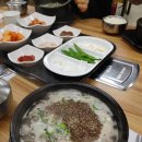 개나리공인중개사 이미지