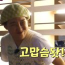 라파리나 이미지