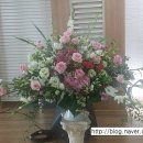 은평-042 이미지