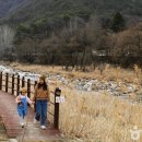 바위 따라 느릿느릿 봄과 발맞춤, 단양 선암골생태유람길 이미지