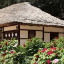 한실농박 이미지