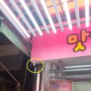 맛있는정육점 이미지