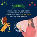 24시 온누리동물메디컬센터 이미지