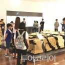 쇼핑버스