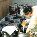 해월도가 이미지