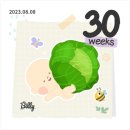 해정약국 | 임신30주31주: 백일해접종 부작용, 단백뇨 임당 소변검사, 임신지원금, 사타구니통증