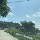 솔가민박 이미지