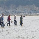 노을이 머무는 곳 이미지