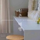 신촌 여행 이미지