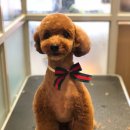 온블리살롱 이미지