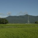 사정1리 이미지