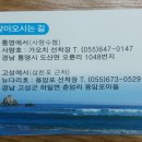 사철나무집민박
