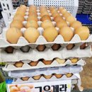 다모아유통 이미지