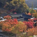 망원정마당 공중화장실 | 경기도 광주 가을 화담숲 화담채 예약 관람 방문 후기