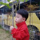 궁전어린이집 이미지