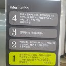 친정숲한증막
