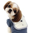 몽슈슈 강아지 이미지