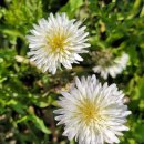 다이나믹 지역아동센터 이미지