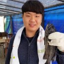 힐링호좌대 이미지