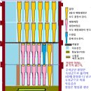 대한민국 명품꿀 : 유기 양봉 자연 완숙꿀 ( 진행 중) 이미지