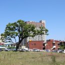 구.울산초 이미지